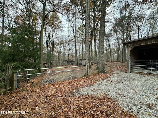 view of yard featuring an outdoor structure