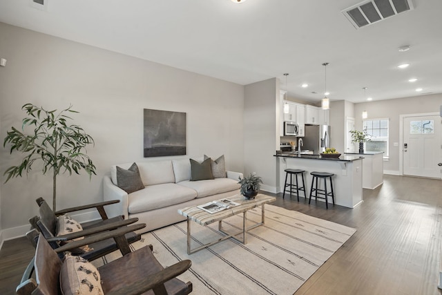 living room featuring sink and dark wood-type flooring