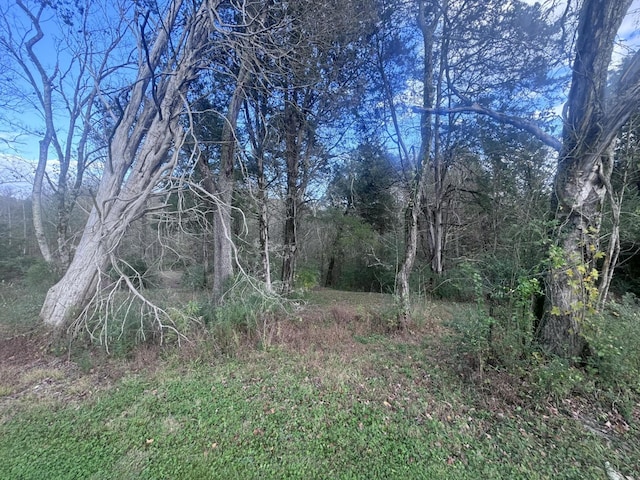 0 Georgetown Rd NW, Cleveland, TN 37312