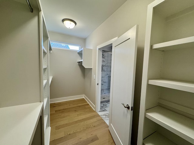 spacious closet with light wood-type flooring