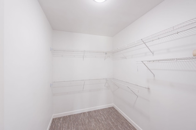 spacious closet featuring carpet