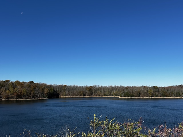 view of water feature