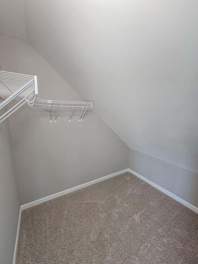 spacious closet featuring carpet and lofted ceiling