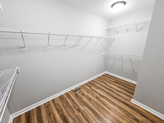 walk in closet with dark hardwood / wood-style floors
