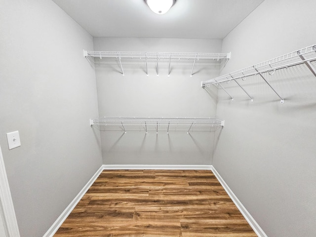 walk in closet featuring dark hardwood / wood-style floors