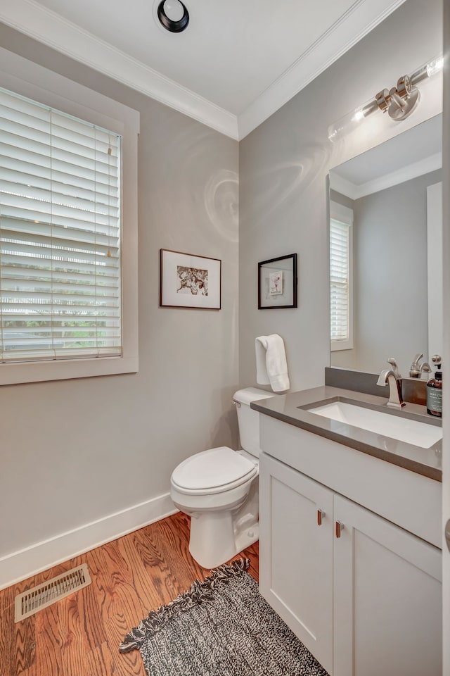 bathroom featuring vanity, crown molding, and a healthy amount of sunlight