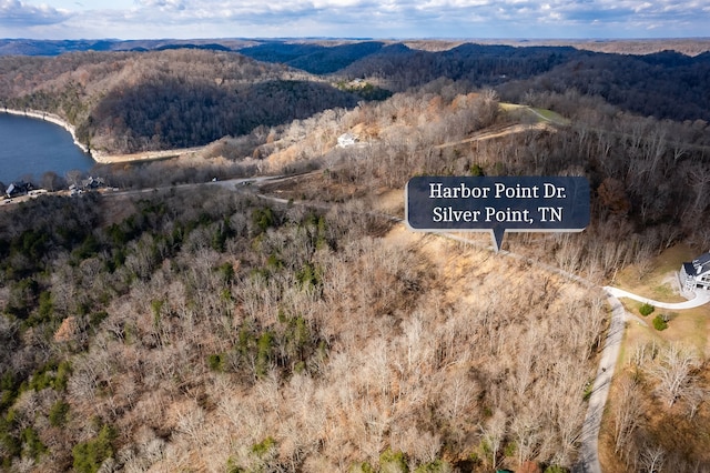 Listing photo 3 for 0 Harbor Pointe Dr, Silver Point TN 38582