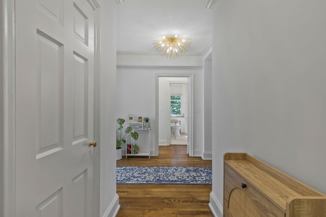 corridor with dark hardwood / wood-style floors, crown molding, and an inviting chandelier