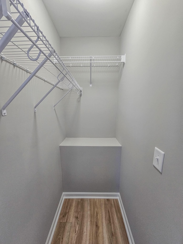 spacious closet featuring hardwood / wood-style flooring