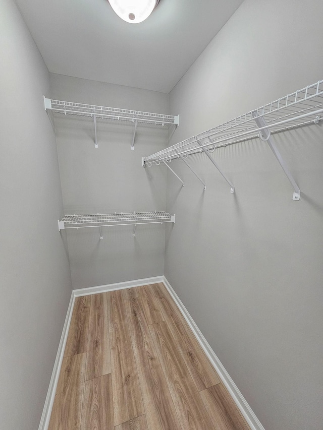 walk in closet featuring wood-type flooring