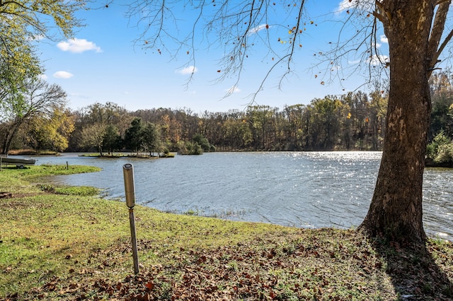 view of water feature