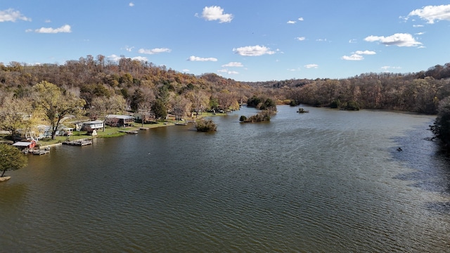 property view of water