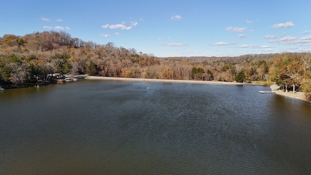 view of water feature