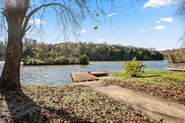 property view of water featuring a boat dock