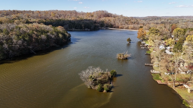 property view of water