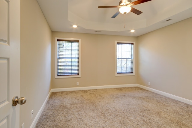 spare room featuring a tray ceiling, a wealth of natural light, and light colored carpet