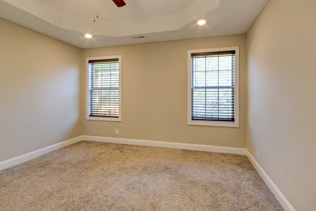 spare room with a tray ceiling, carpet, and a healthy amount of sunlight