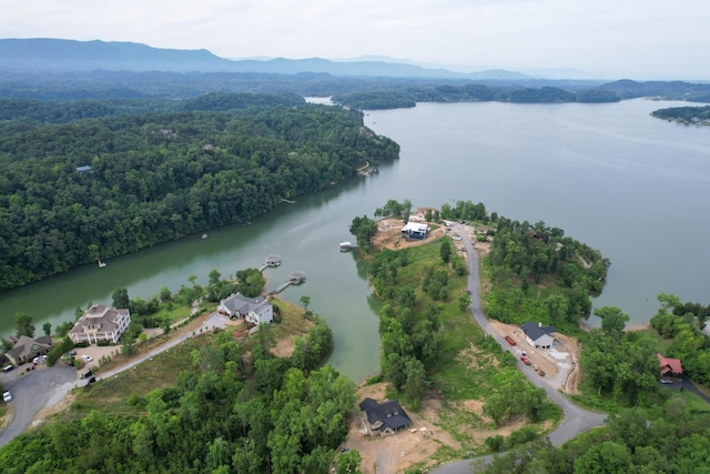 44 Stone Harbor Dr, Dandridge, TN 37725 - photo 10