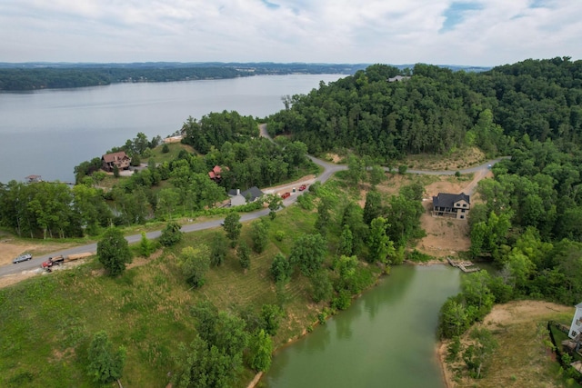 44 Stone Harbor Dr, Dandridge, TN 37725 - photo 12