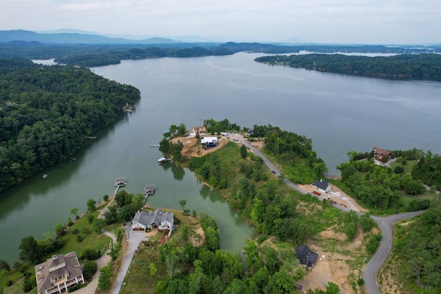 44 Stone Harbor Dr, Dandridge, TN 37725 - photo 9