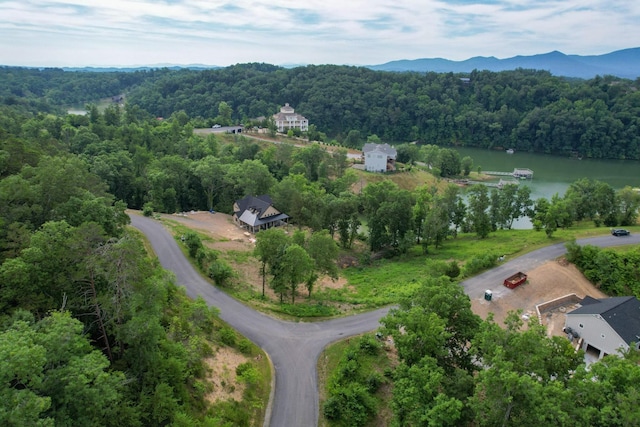 44 Stone Harbor Dr, Dandridge, TN 37725 - photo 17