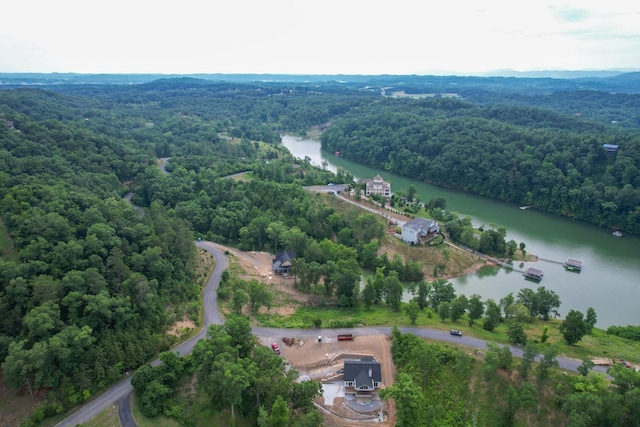 44 Stone Harbor Dr, Dandridge, TN 37725 - photo 15