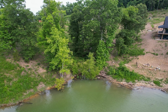 44 Stone Harbor Dr, Dandridge, TN 37725 - photo 8