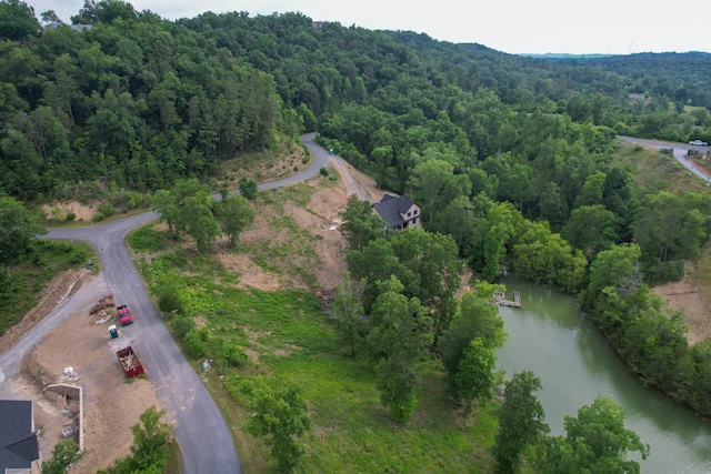 44 Stone Harbor Dr, Dandridge, TN 37725 - photo 2