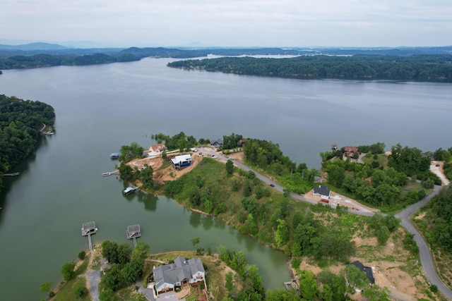 44 Stone Harbor Dr, Dandridge, TN 37725 - photo 4