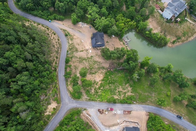 44 Stone Harbor Dr, Dandridge, TN 37725 - photo 11