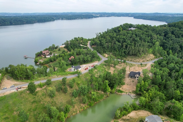 44 Stone Harbor Dr, Dandridge, TN 37725