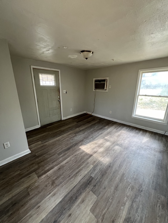 foyer entrance featuring plenty of natural light and dark wood-type flooring