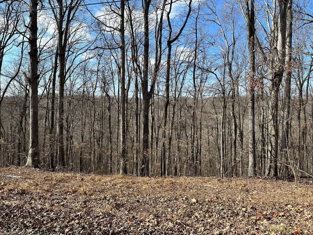 0 Woodland Hls, Cadiz, KY 42211