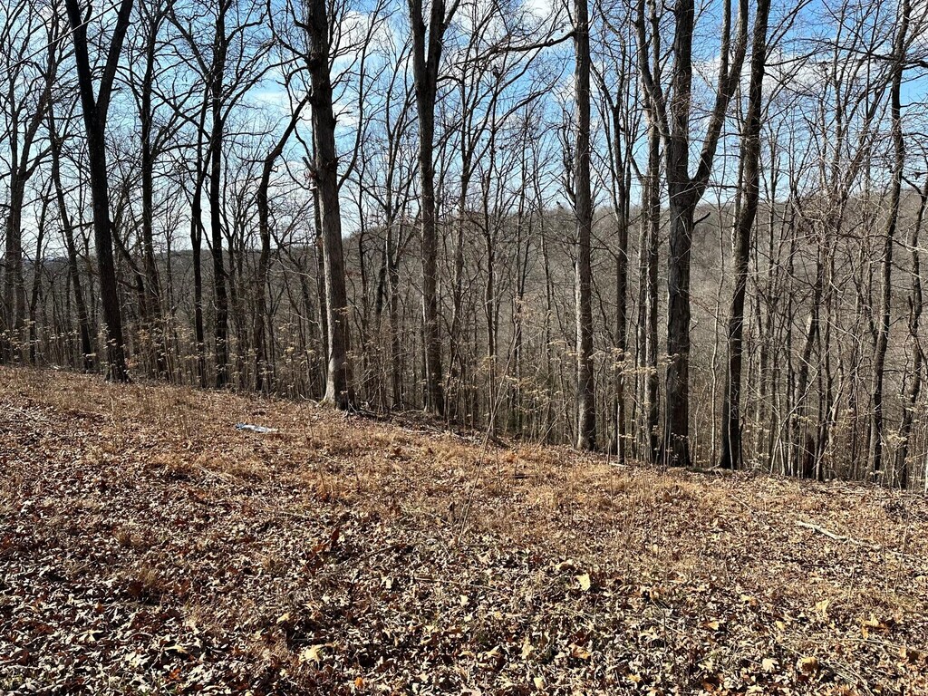 0 Woodland Hls, Cadiz, KY 42211