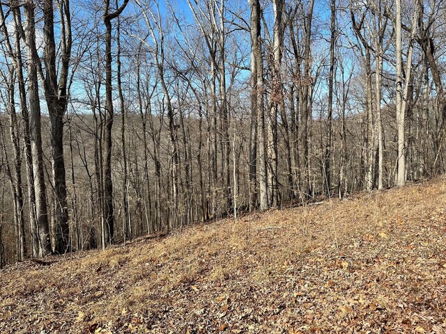 0 Woodland Hls, Cadiz, KY 42211