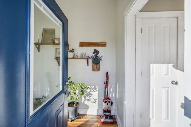 entryway with hardwood / wood-style flooring