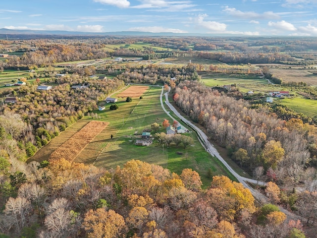 aerial view with a rural view