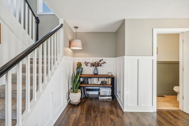 staircase with hardwood / wood-style floors