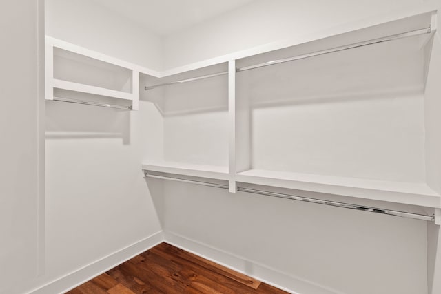 walk in closet featuring dark hardwood / wood-style flooring