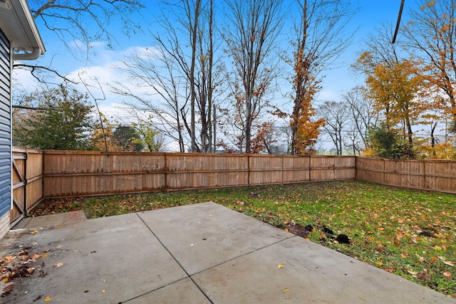 view of yard with a patio area