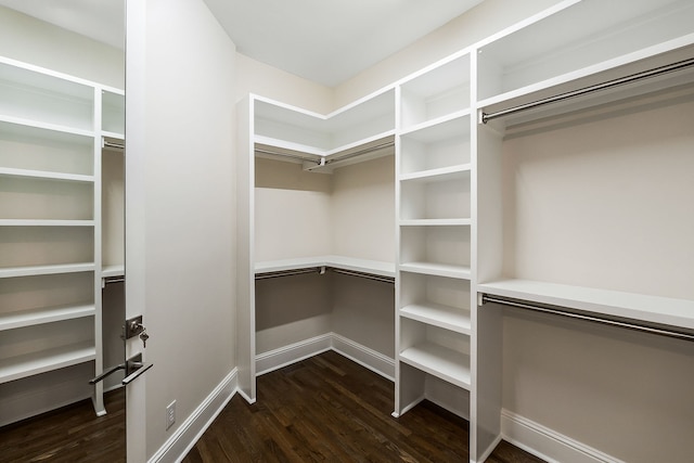 walk in closet with dark wood-type flooring