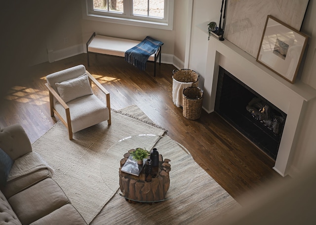 living room with wood-type flooring