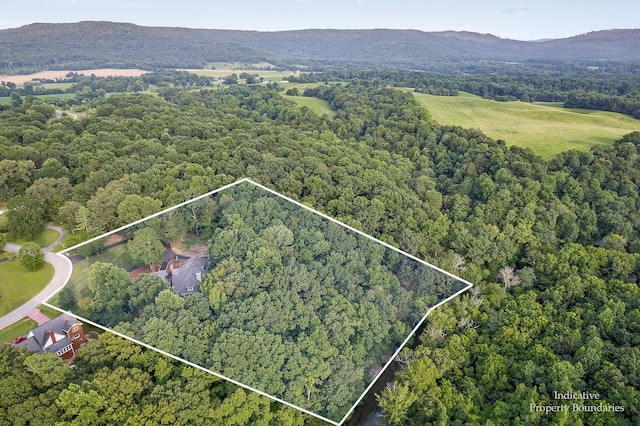 birds eye view of property with a mountain view