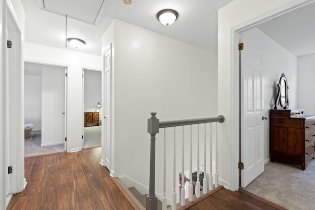 hall featuring dark hardwood / wood-style floors