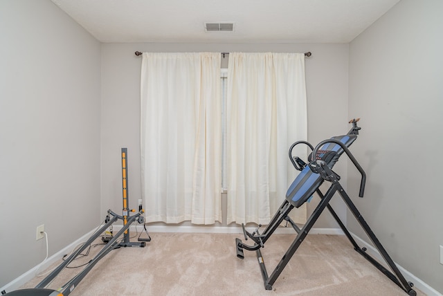 exercise room featuring carpet floors