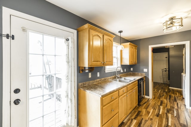 kitchen with dark hardwood / wood-style floors, sink, and hanging light fixtures