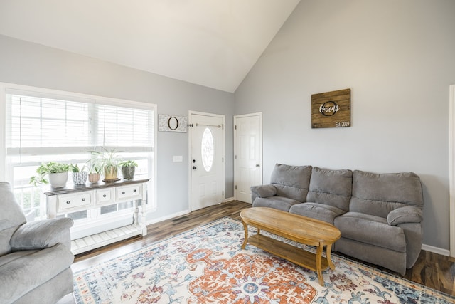 living room with hardwood / wood-style floors and high vaulted ceiling