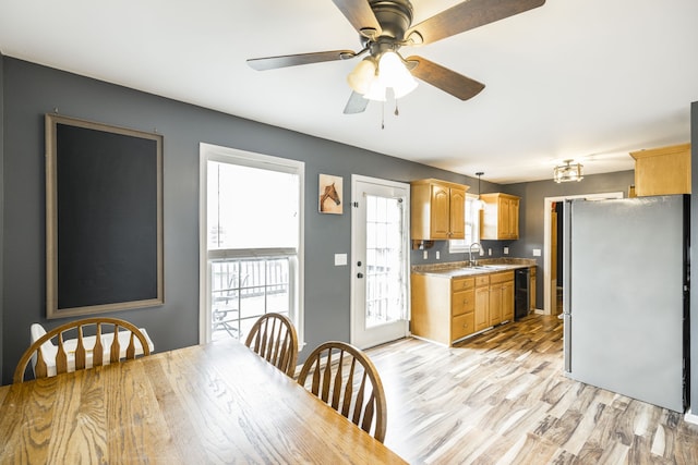 dining area featuring ceiling fan, sink, and light wood-type flooring