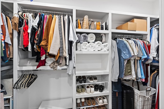 view of spacious closet