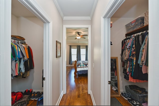 walk in closet featuring ceiling fan and dark wood-type flooring